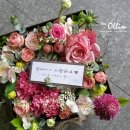 더 올림(The Ollim) 이미지