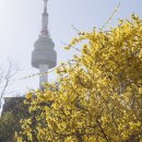 개나리공원4 이미지