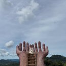 해피큐플라워 - 13792 | [필리핀 세부] 세부 마사지,시티투어 플라워트리스파 내돈내산 추천후기