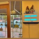 안산대학로 이미지