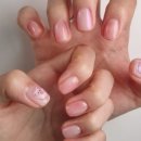 네일보네르 이미지