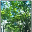 금명여자고등학교 이미지