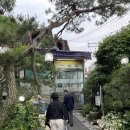 일미원 | 수서 복요리집 일미원 후기