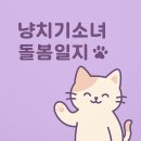 자매캣 | [구미 캣시터 후기💌] 충북 영동 · 3개월 자매 3일 돌봄 후기