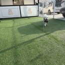 운남동물병원 | 인천 영종도 운남동 애견호텔 제이독 이용 솔직 후기 (주차, 픽업, 목욕 꿀팁 포함)