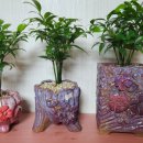 죽백4로 이미지