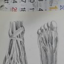 헬린이창고 이미지