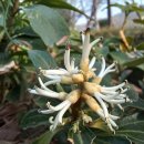 창이대로-1 이미지