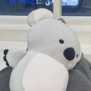 빈스치과의원 이미지