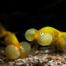 대전아쿠아리움 이미지