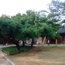 계천시장 이미지