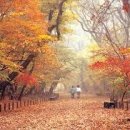 만화경로당 이미지