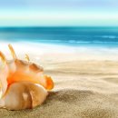 여름아, 부탁해~~ 이미지