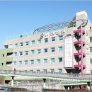 등칙골 1길 Daum카페