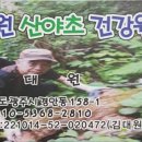 대원건강원 - 보은군 소여3길 5-5 | 대원건강원