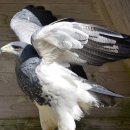 경북야생동물구조관리센터 이미지