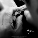 팀 펜로즈 이미지