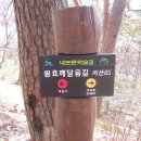 아라메길 (천년미소길) 이미지