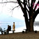 러브홀릭 이미지