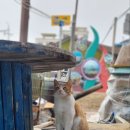 남애농원