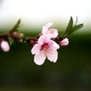 지인한의원 이미지