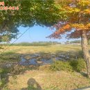 강화읍-4 네이버블로그
