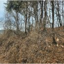 원성리마을회관 이미지