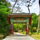 용문사 대형주차장 이미지