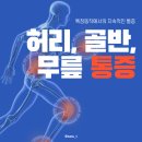 산호동477 | 신호동 피티ㅣ허리, 골반, 무릎 통증의 이유