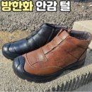 루덴스 이미지