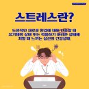 마음챙김으로 스트레스 다스리기 이미지