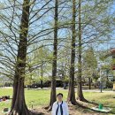 느티나무공인중개사사무소 이미지