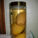 술통 Daum카페