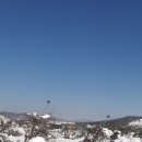 김씨농장 이미지