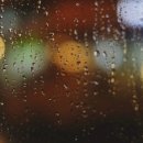 송*욱 - 안양시 동안구 달안로 78 | 송*욱