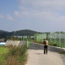 복룡축산 티스토리