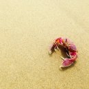 간장게장 - 울주군 남창3길 7 | 간장게장