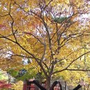 서울댄스스포츠학원 이미지