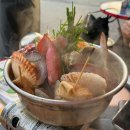 총각네애견 이미지