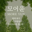 몽언니애견미용실 | ✨[은평구 숨은 미용실 맛집]- ‘모어윤’ 후기 | 톤다운 염색 매트브라운 컬러 대만족!애견동반가능