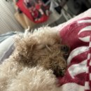 송전마을 | 2월 일기