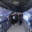 전주 완산-52 전주일보