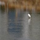 가창면사무소 이미지