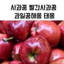 과일 사거나 먹는 꿈, 과일 선물받거나 따는꿈, 썩은 꿈해몽 이미지