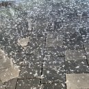 우도당구 이미지