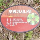 부안으로 떠난 하루 여행 중 잠시 들린 길따라 꽃드리 방문 후기