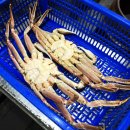 왕대박식당 이미지