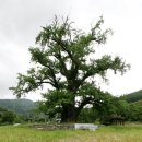 부여(사비)-16 이미지