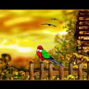 한가한오후 이미지