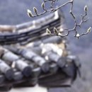 함평 경회루 이미지